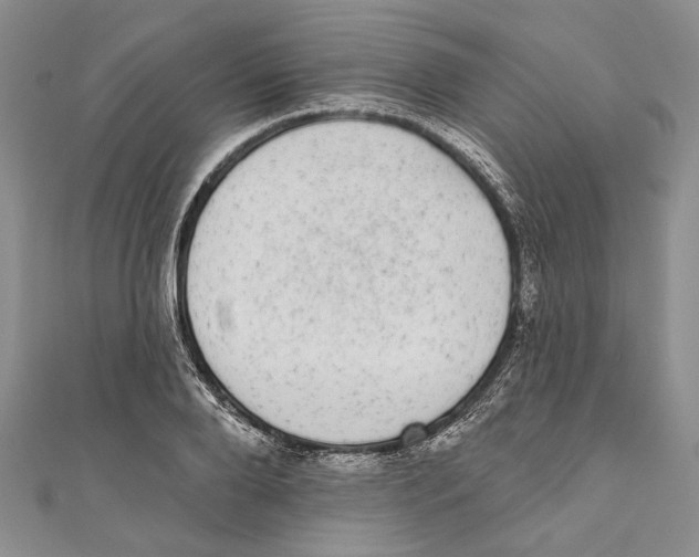 X0000110960888200907171647