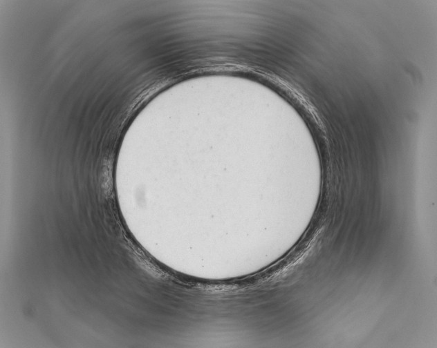 X0000110960889200907171647