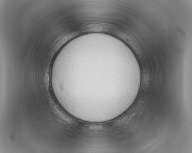 X0000110960890200907171647