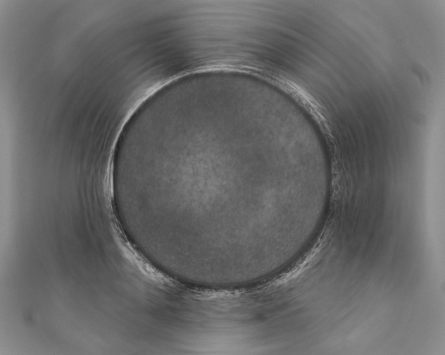 X0000110960892200907171647