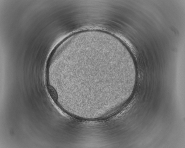X0000110960894200907171647