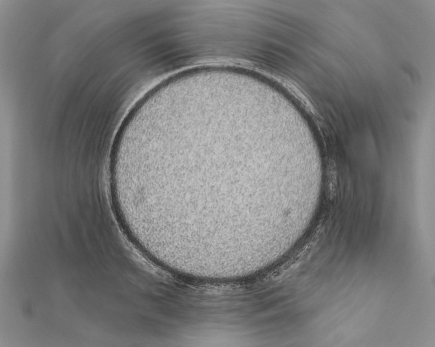 X0000110960895200907171647