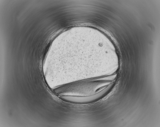X0000110960897200907171647