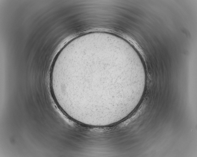 X0000110960898200907171647