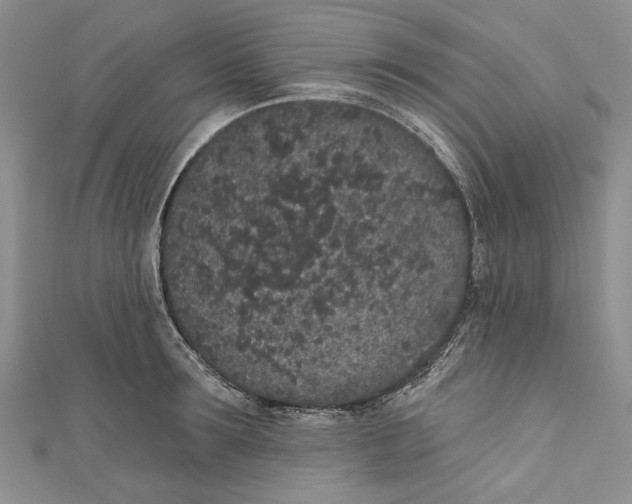 X0000110960899200907171647