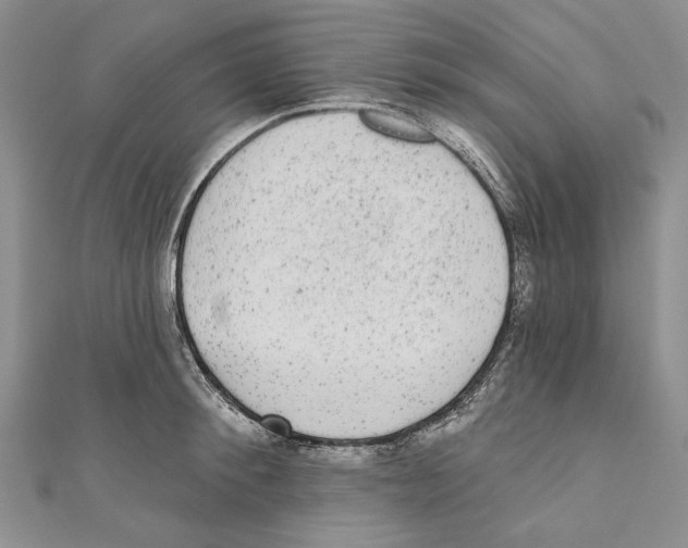 X0000110960900200907171647