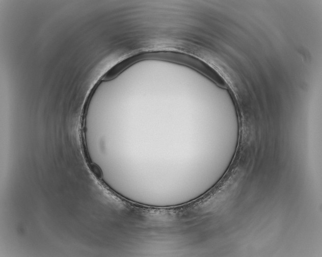 X0000110960901200907171647