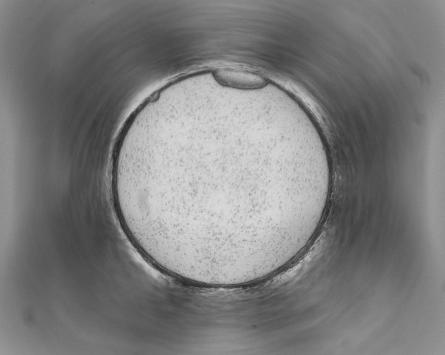 X0000110960902200907171647