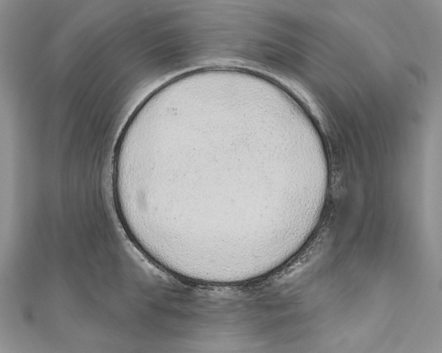 X0000110960903200907171647