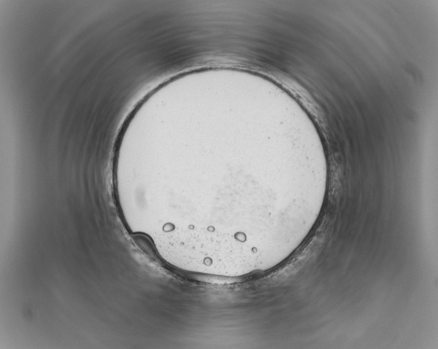 X0000110960904200907171647