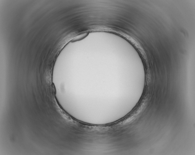 X0000110960905200907171647