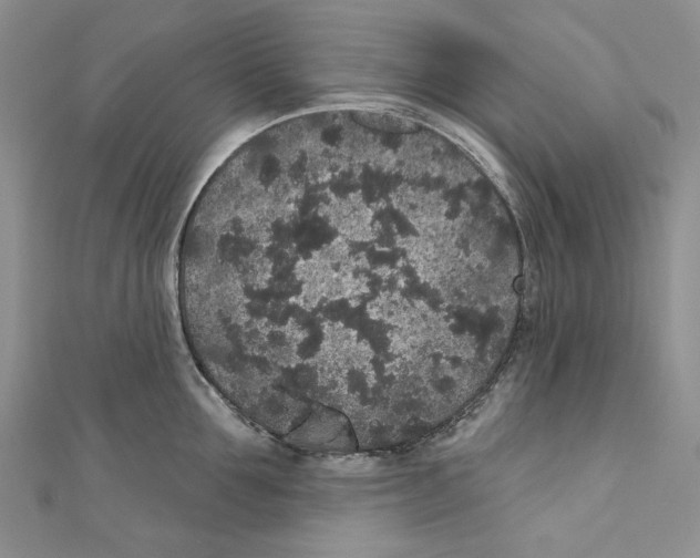 X0000110960907200907171647