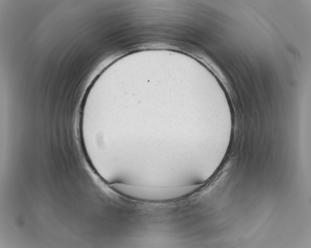 X0000110960909200907171647