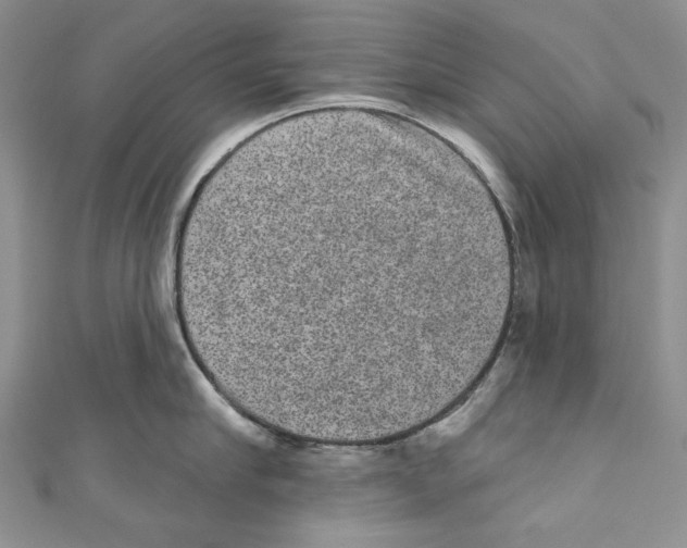 X0000110960910200907171647