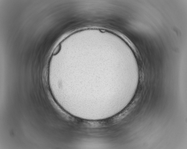 X0000110960911200907171647