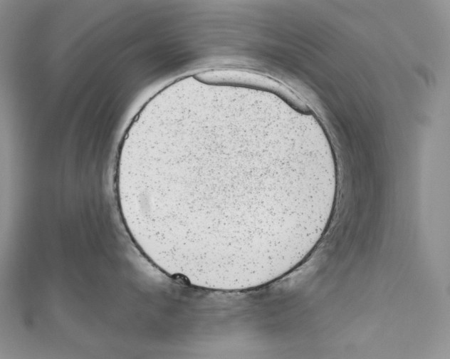 X0000110960912200907171647