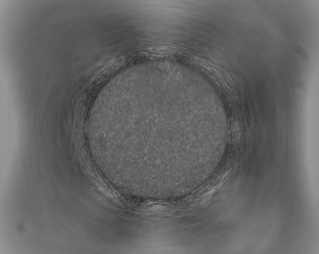 X0000110960913200907171646