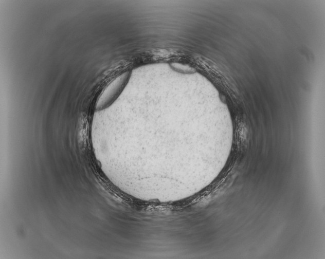 X0000110960914200907171646