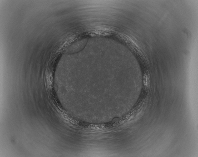 X0000110960915200907171646