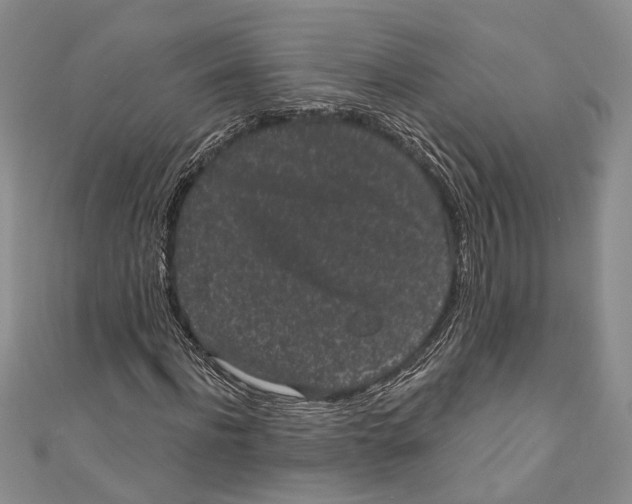 X0000110960916200907171646