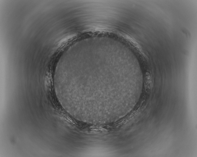 X0000110960918200907171646