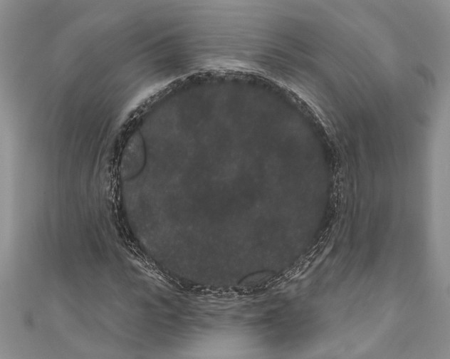 X0000110960919200907171646