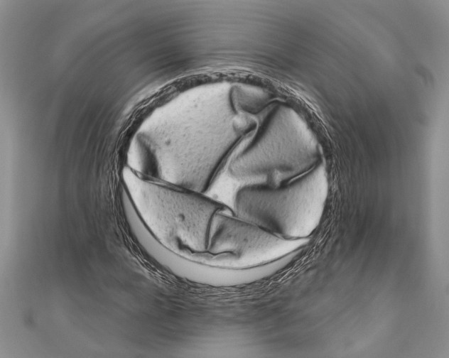 X0000110960920200907171646