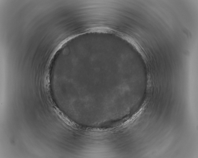 X0000110960923200907171646
