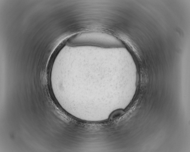 X0000110960924200907171646