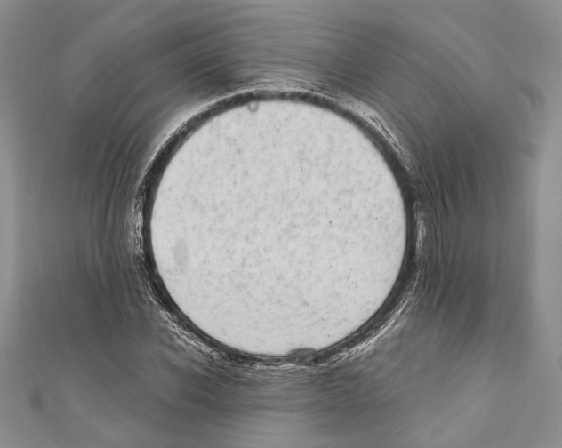 X0000110960926200907171646