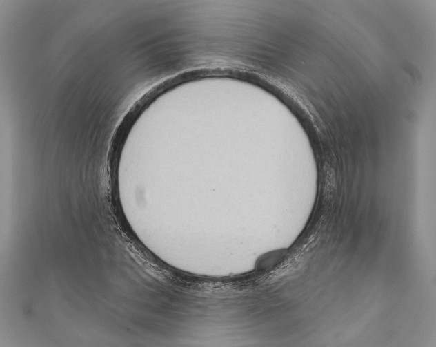 X0000110960927200907171646