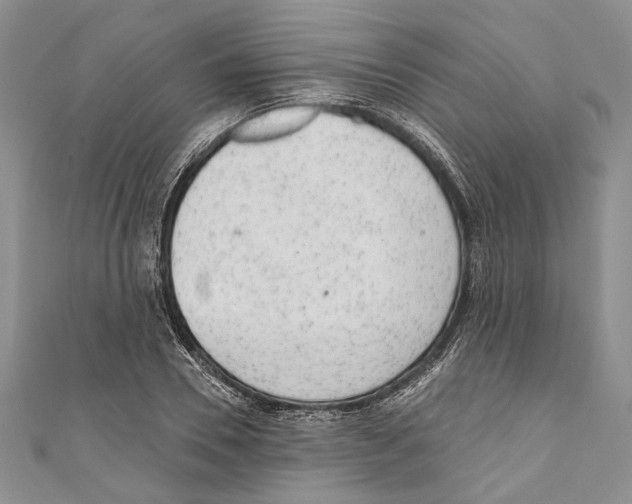 X0000110960930200907171646