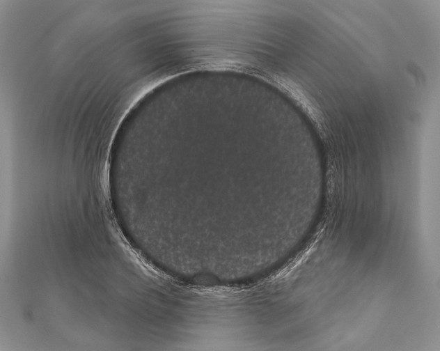 X0000110960932200907171646
