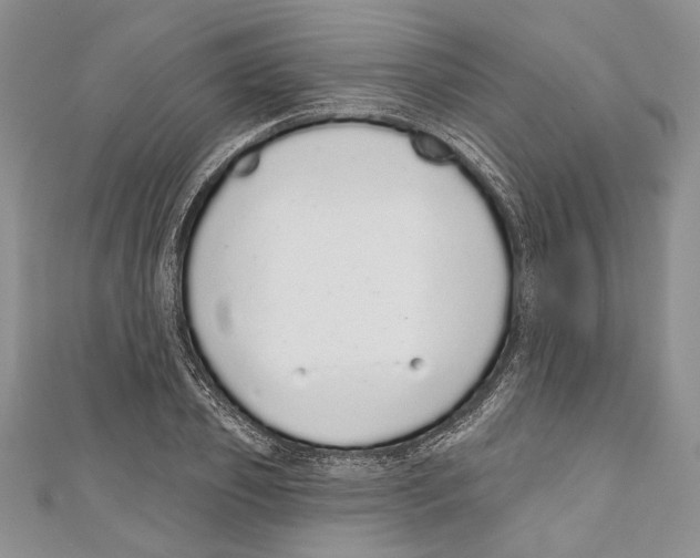 X0000110960933200907171646