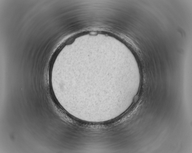 X0000110960934200907171646