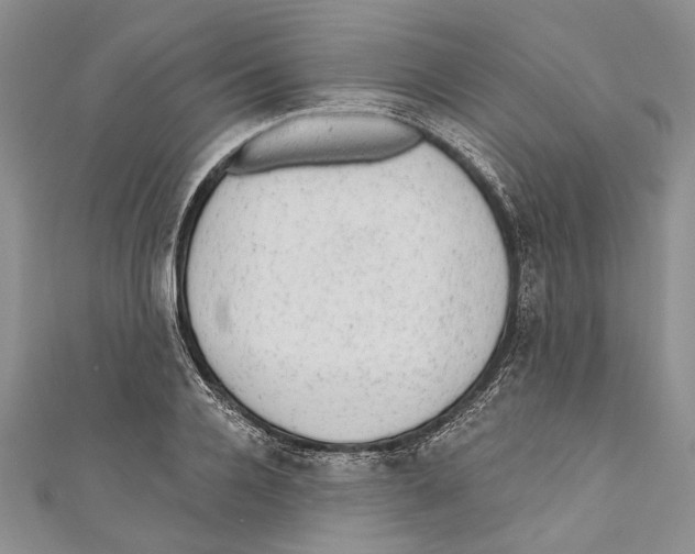 X0000110960936200907171646