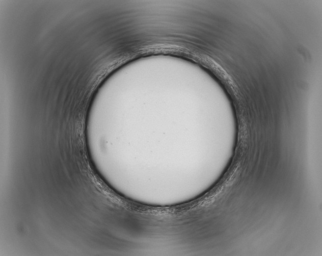 X0000110960937200907171646