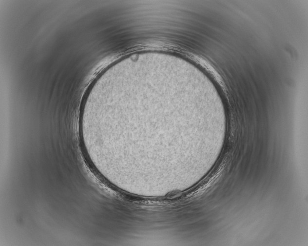 X0000110960938200907171646