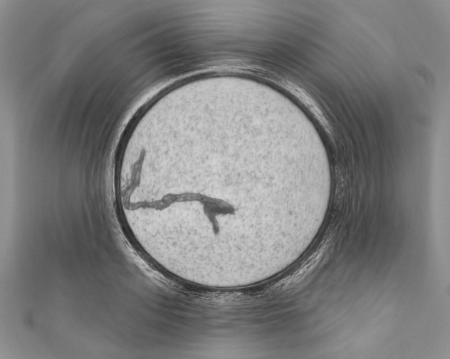 X0000110960939200907171646