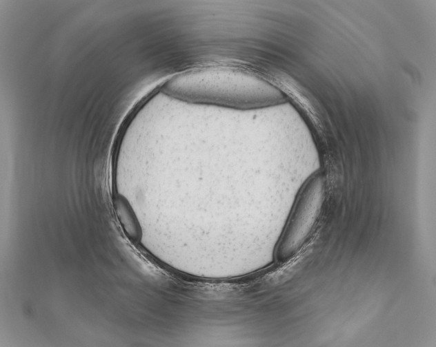 X0000110960940200907171646