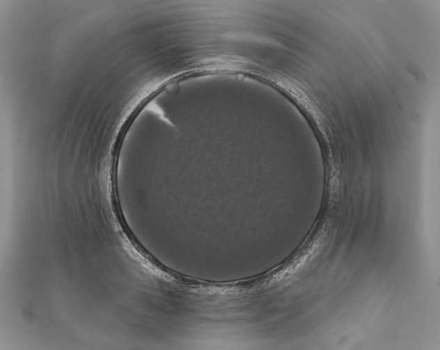 X0000110960941200907171646