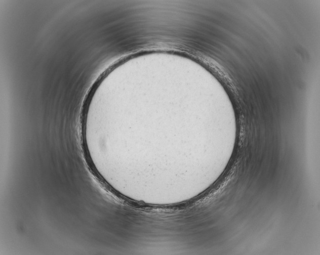 X0000110960942200907171646