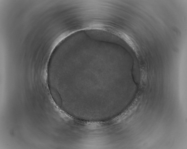 X0000110960944200907171646
