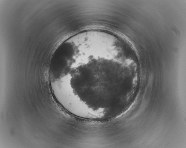 X0000110960945200907171646