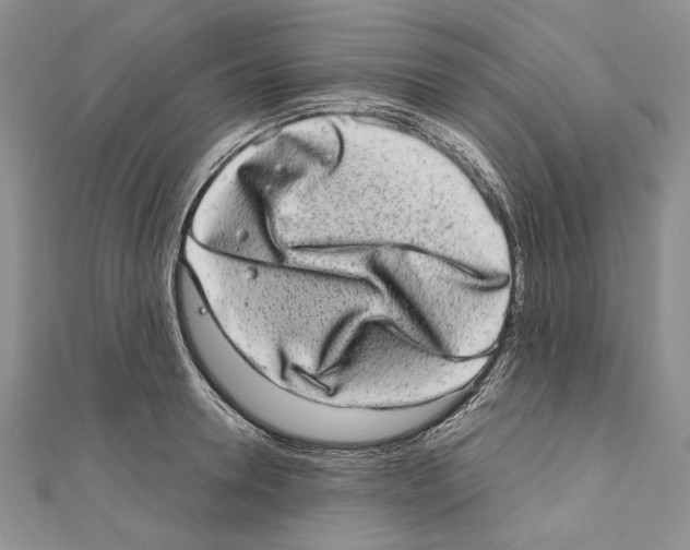 X0000110960946200907171646
