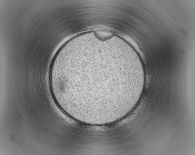 X0000110960947200907171646
