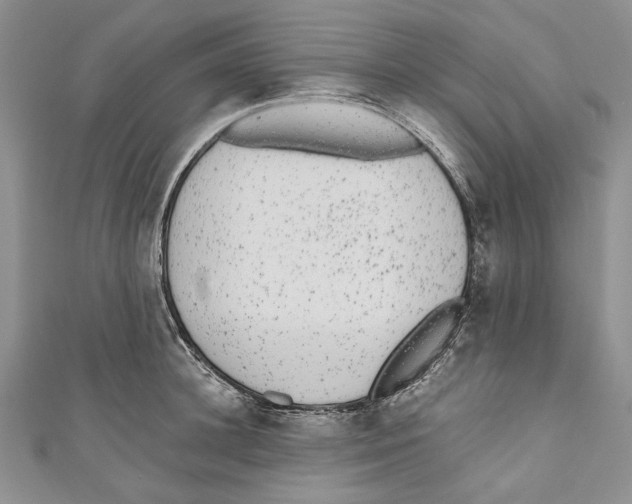 X0000110960948200907171646