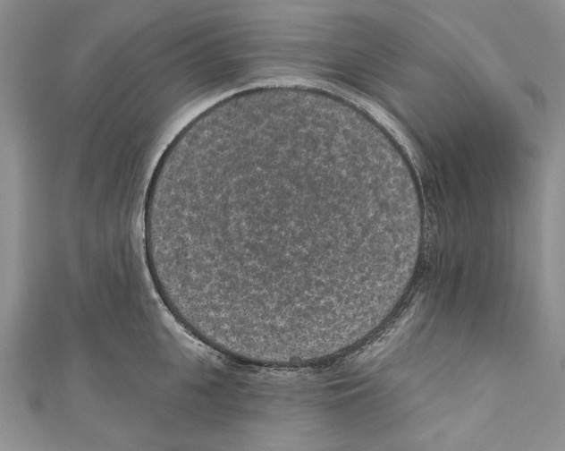 X0000110960951200907171646