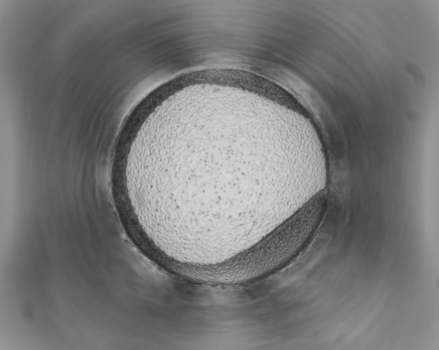 X0000110960952200907171646