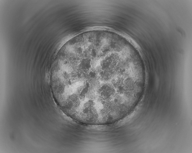 X0000110960953200907171647